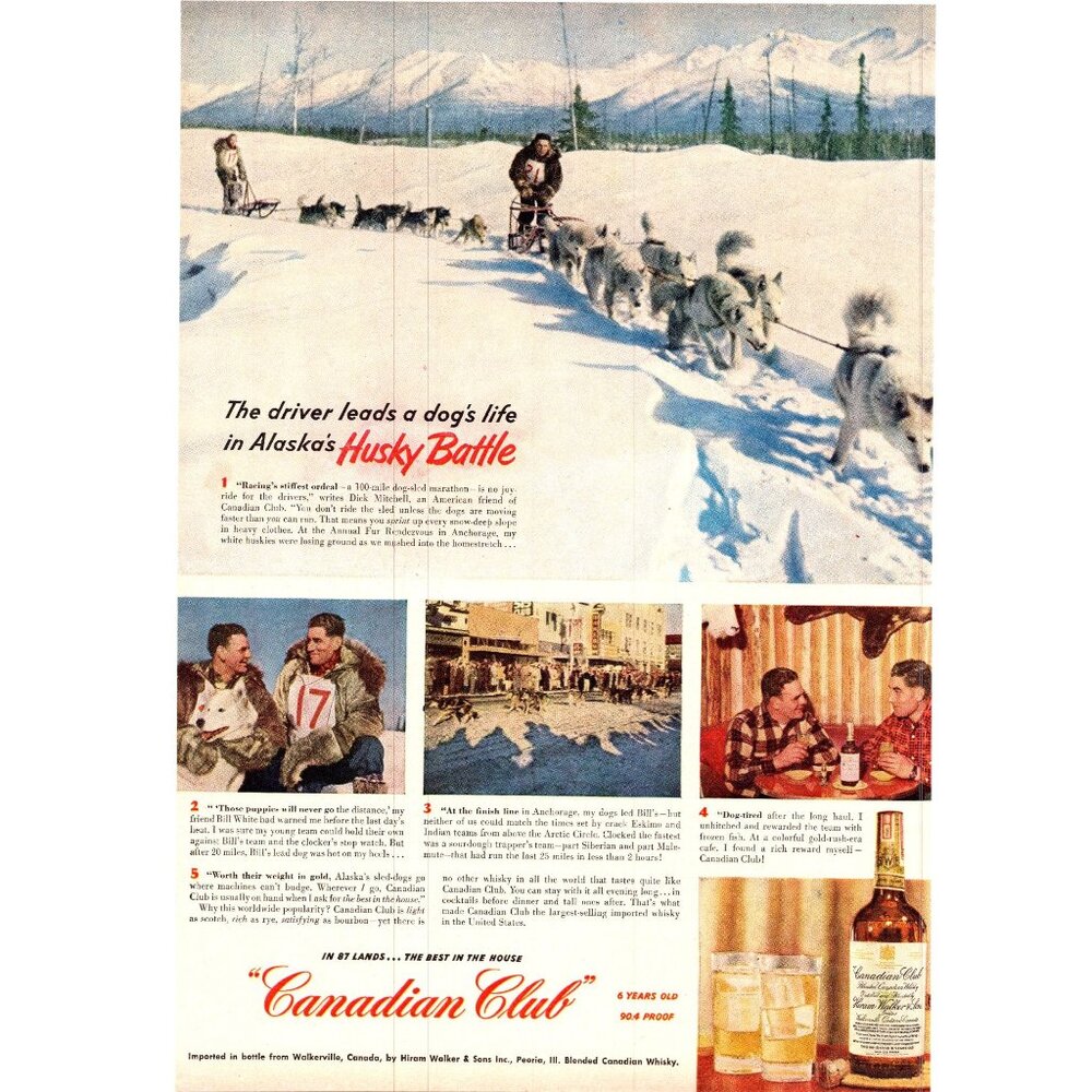 1951 Canadian Club Iditarod Dog Sled Race Alaska Huskies Vintage Print Ad Art